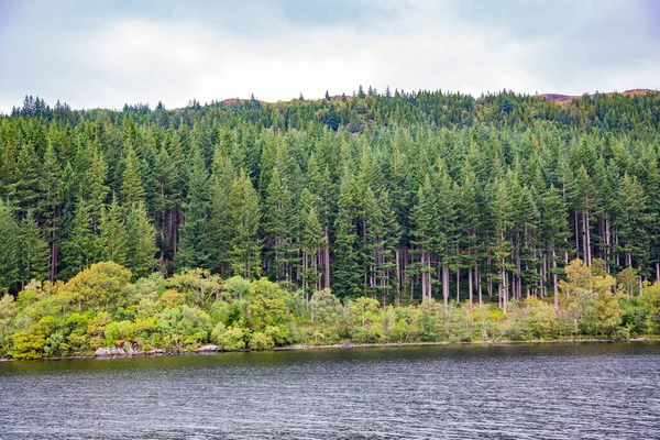 Bela Paisagem Com Lago Floresta — Fotografia de Stock