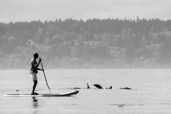 Man Paddle Boarding — Stock Photo, Image