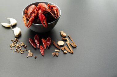 Kerevit kırmızısı, siyah arka planda kızarması için otlu bebek ıstakozu.