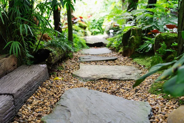 Pasarela Piedra Jardín Escalón Piedra Grava —  Fotos de Stock