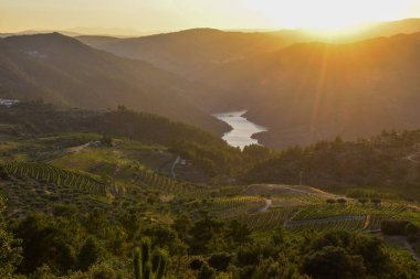 Dağların güzel manzarası
