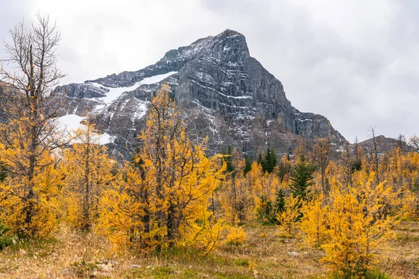 Autumn Landscape Mountains — Stock Photo, Image