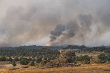 Flames and Thick Smoke from a Wildfire Rising Behind Rural Houses