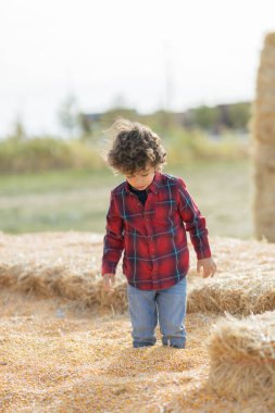 Child in red plaid shirt standing in corn pit at Utah pumpkin patch