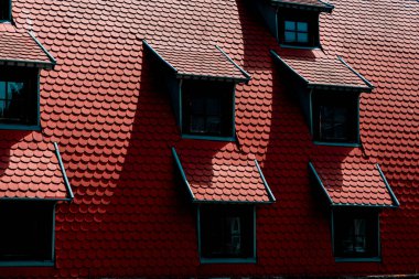 Bydgoszcz şehrindeki binalar ve çatıları