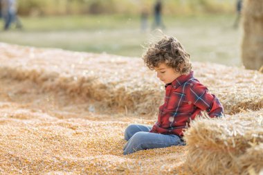 Child in red plaid shirt sitting in corn pit at Utah pumpkin patch