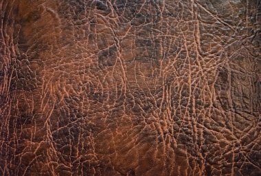 Kahverengi deri dokusuna. Stil ve servet iz.