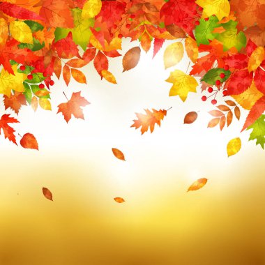 sonbahar yaprakları ile arka plan. vektör çizim
