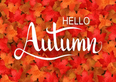 sonbahar arka plan. vektör çizim