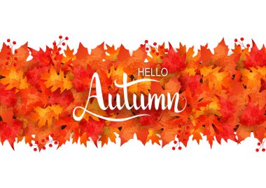 Sonbahar yaprakları. vektör illüstrasyonu