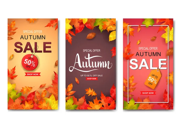 Set Three Autumn Banners Vector Illustration — Stock Vector