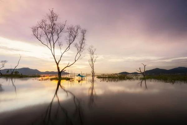 日落时湖中的树木干燥 — 图库照片