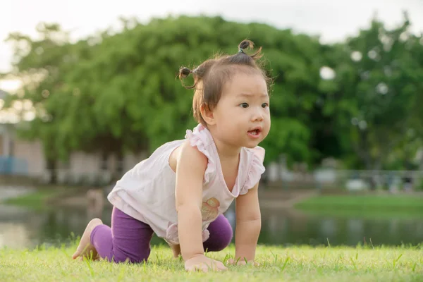 Asian baby girl crawling on green grass in the park. — Stock Photo, Image