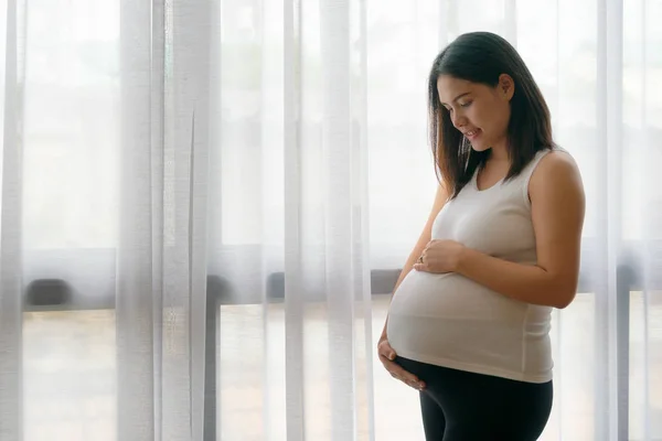 Pregnant asian woman standing near the window.