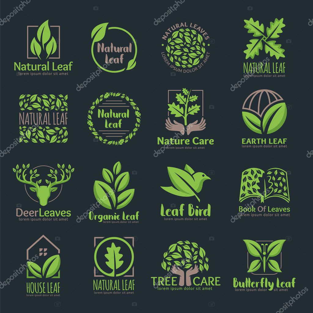 Set of Natural Leaf logo, Leaf logo design template pack, easy to customize.