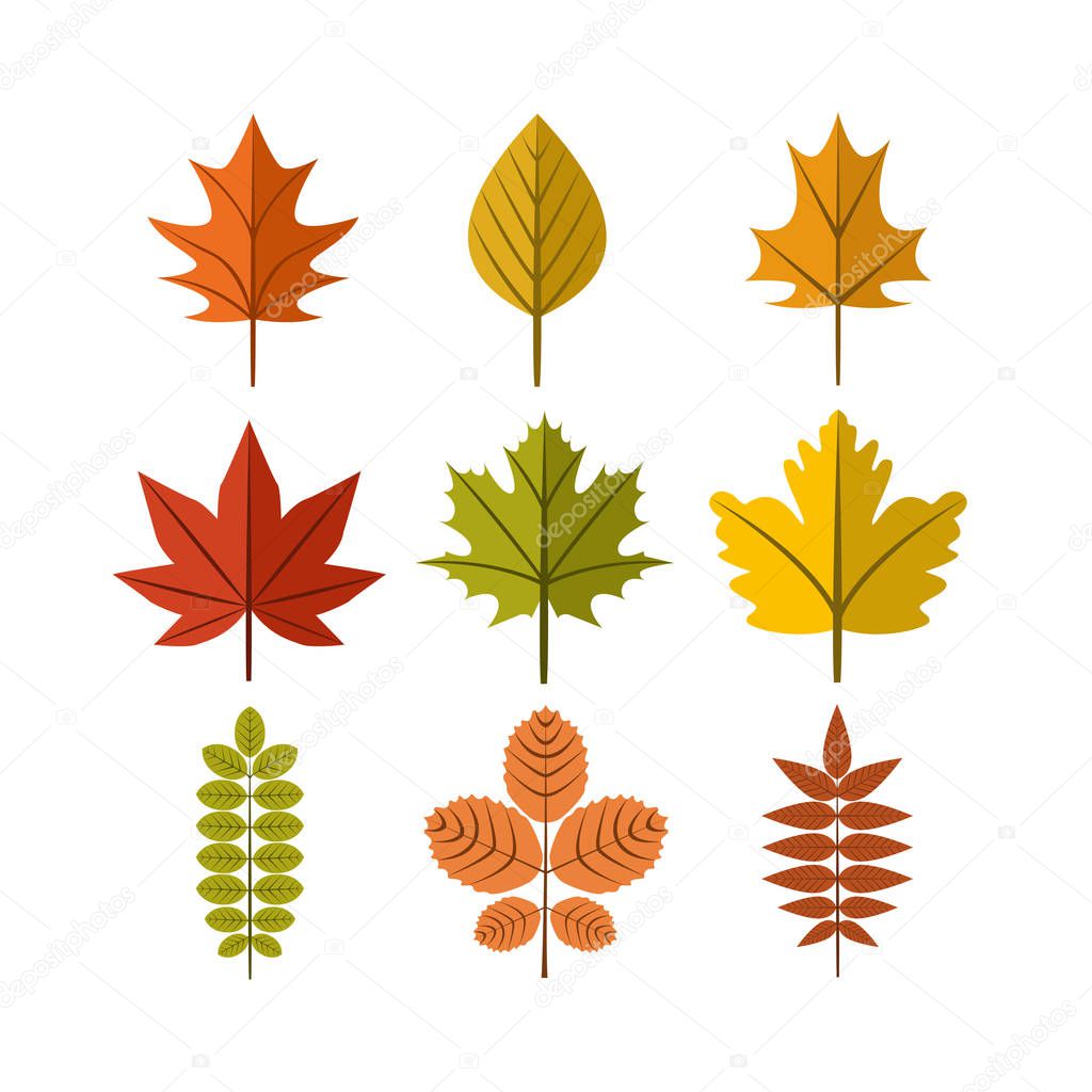 Simple Autumn Leaf Vector Illustration Symbol Graphic Logo Design Template Set