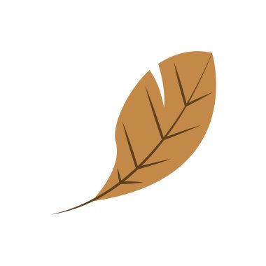 Kuru Yaprak Şekli Vektör Sembol İllüstrasyon Grafik Tasarım Şablonu