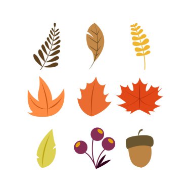 Sonbahar Kuru Paket Vektörü Sembol İllüstrasyon Grafik Tasarım Şablonu