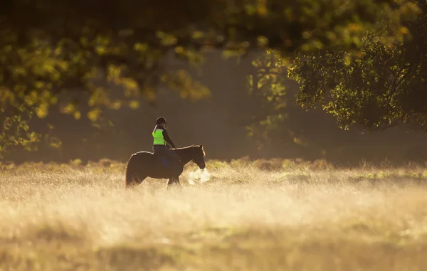 Una mujer montando a caballo en un campo en una hermosa mañana de otoño —  Fotos de Stock