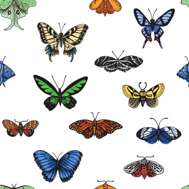 Kroki bir vektör Illustration böcek. Bugs ile süsleme.