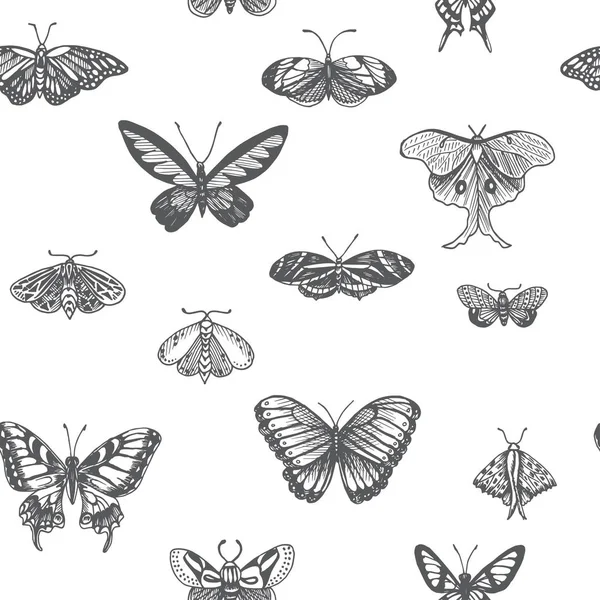 Illustration Croisée Vecteur Bugs Ornement Avec Des Insectes — Image vectorielle