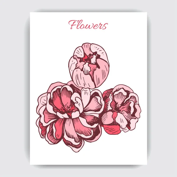 Croquis Vectoriel Illustration Carte Avec Pivoine Fleurs — Image vectorielle