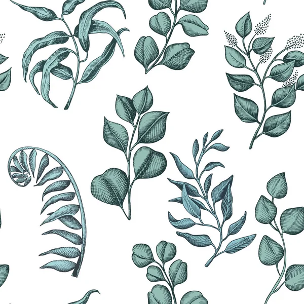 Handgezeichnete Wrapping Illustration Eukalyptus Sukkulente Blumen — Stockvektor
