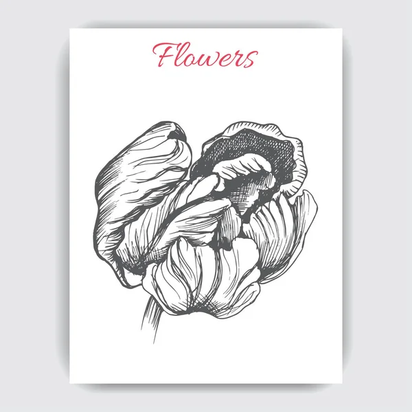 Vektorillustration Karte Mit Einfarbiger Tulpenblume — Stockvektor