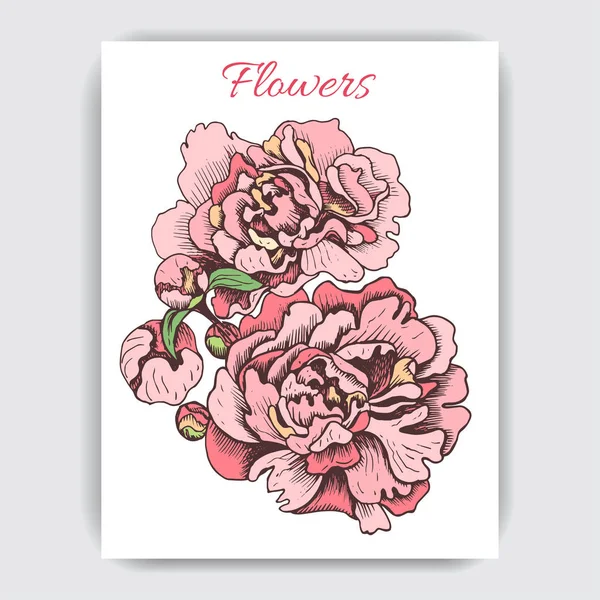 Croquis Vectoriel Illustration Carte Avec Pivoine Fleurs — Image vectorielle