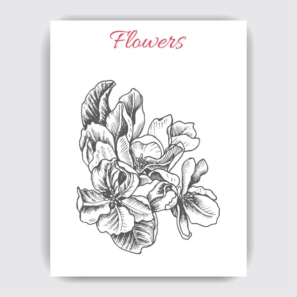 Carte Postale Colorée Dessinée Main Avec Fleur Pomme — Image vectorielle