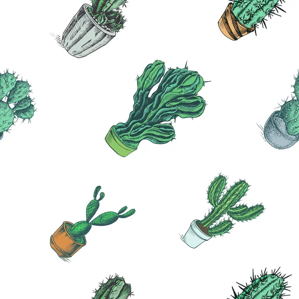 Croquis Dessiné Main Avec Des Cactus Dans Des Pots — Image vectorielle