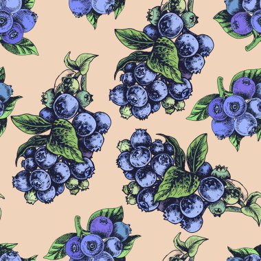 Bilberries bej üzerinde elle çizilmiş kroki çizimi.