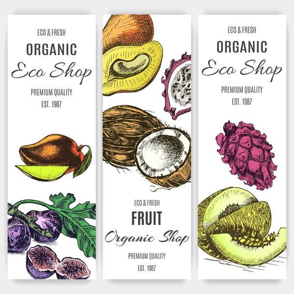 Banners Para Loja Ecológica Com Ilustração Vários Frutos Exóticos —  Vetores de Stock