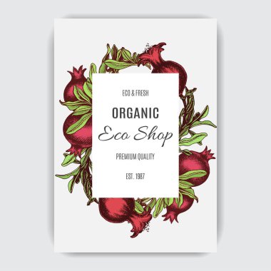 Nar meyve kartı elle çizilmiş vektör çizim