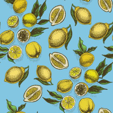 Narenciye meyve kart çizilmiş vektör çizim el