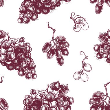 Elle çizilmiş vektör çizim üzüm meyve kartı