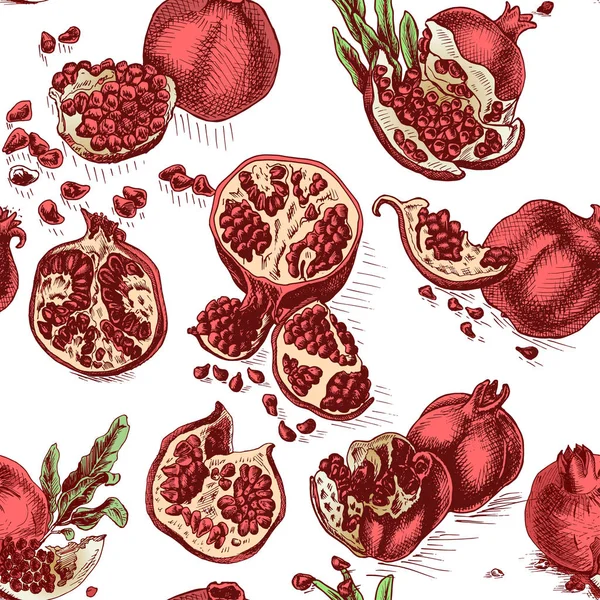 Ilustración Vectorial Dibujada Mano Granadas Tarjeta Fruta — Vector de stock