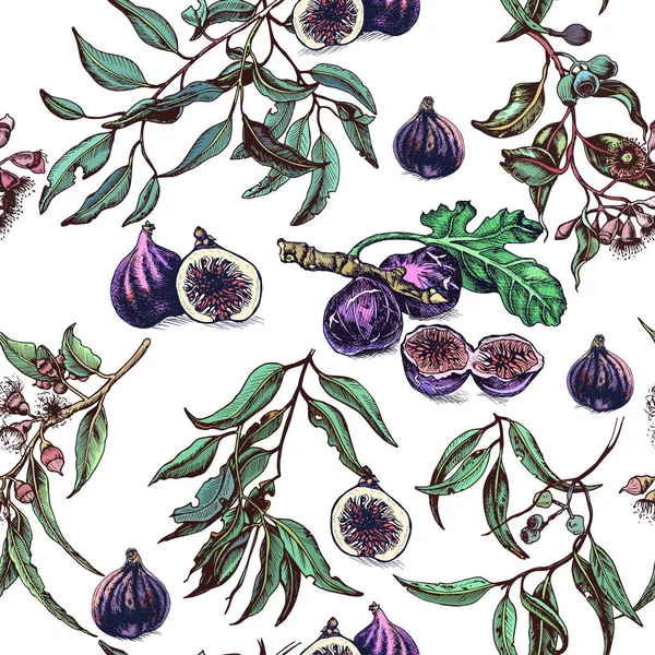 Illustrazione Vettoriale Disegnata Mano Dello Sfondo Frutta Fichi — Vettoriale Stock