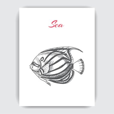 Vektör el vahşi balık, deniz tarzı çizilmiş çizimi