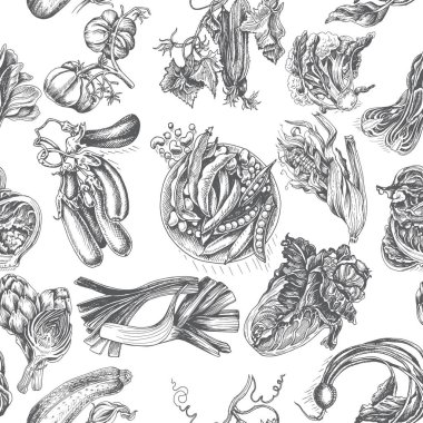 Restoran menü için sebze arka plan vektör Illustration