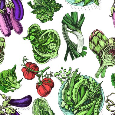 Restoran menü için sebze arka plan vektör Illustration