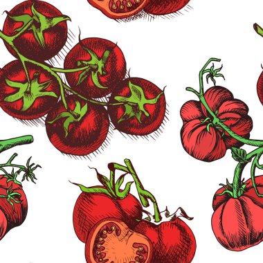 Restoran menü için domates arka plan vektör Illustration