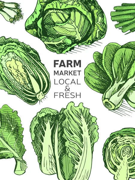 Vektorillustration Von Gemüse Hintergrund Für Restaurant Menü — Stockvektor