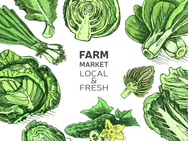 Restoran menü için lahana arka plan vektör Illustration