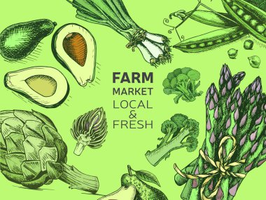 Restoran menü için lahana arka plan vektör Illustration