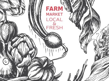 Restoran menü için lahana arka plan vektör Illustration