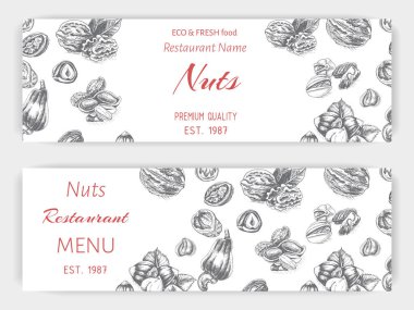 Vektör arka plan kroki ceviz, fıstık, kaju fıstığı, fındık, badem Antep fıstığı yemek kartı