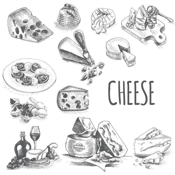 Desenho Ilustração Vetorial Queijo Provolone Cheddar Edam Parmigiano Cheddar Parmesão —  Vetores de Stock