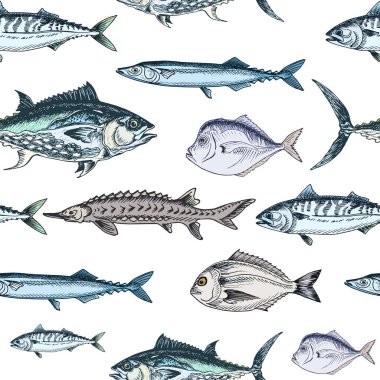 Vektör çizim çizimi - balık deseni, vektör çizimi