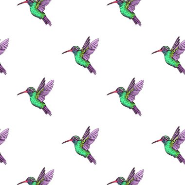 Sinekkuşu ile çizim el çizimi, vektör çizimi